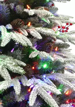 Top 10 ✨ Puleo International Pre-lit Flocked Halifax Fir Tree ✨ -Wonderly Shop Belk 2046