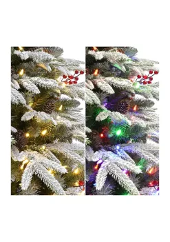 Top 10 ✨ Puleo International Pre-lit Flocked Halifax Fir Tree ✨ -Wonderly Shop Belk 2047