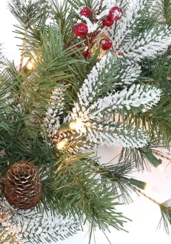 Deals 🎁 Puleo International Pre-Lit Glittery Wreath with Pine Cones & Berries 🤩 -Wonderly Shop Belk 2069