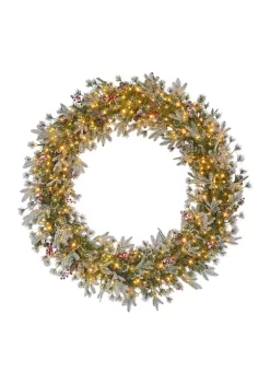 Deals 🎁 Puleo International Pre-Lit Glittery Wreath with Pine Cones & Berries 🤩 -Wonderly Shop Belk 2071