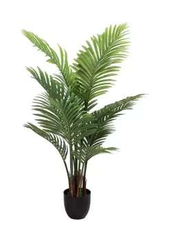 Buy ✔️ Puleo International Spring Plant 💯 -Wonderly Shop Belk 2079