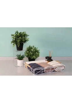 Best Pirce 👍 Puleo International 2.5 Inch White Wire Tray with Carrying Handles 🎁 -Wonderly Shop Belk 2090