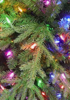 Buy 🛒 Puleo International Pre-lit Galveston Fir Tree 🛒 -Wonderly Shop Belk 2115