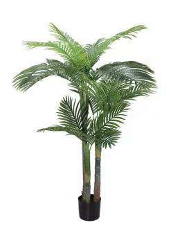 New 🧨 Puleo International Spring Plant 👏