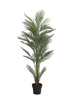 Best deal 😍 Puleo International Spring Plant 🎁 -Wonderly Shop Belk 2219