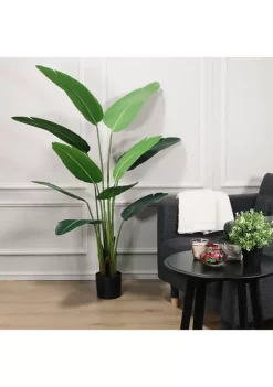 Cheapest ⌛ Puleo International Spring Plant 🌟 -Wonderly Shop Belk 2230