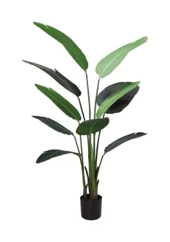 Cheapest ⌛ Puleo International Spring Plant 🌟 -Wonderly Shop Belk 2231