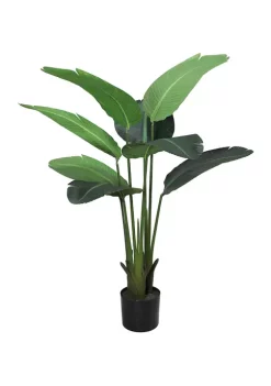 Best reviews of ๐งจ Puleo International Spring Plant โญ