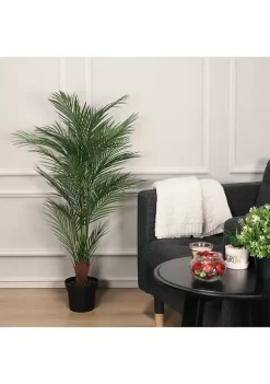 Promo 🥰 Puleo International Spring Plant ✔️ -Wonderly Shop Belk 2270